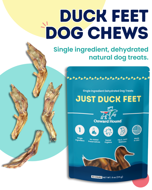 Onward Hound Just Duck Feet – Single Ingredient Natural Dog Chews