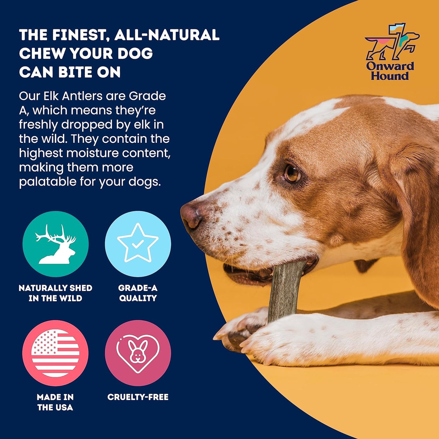 Onward Hound Elk Antler Chews - Hypoallergenic & Natural Dog Chews