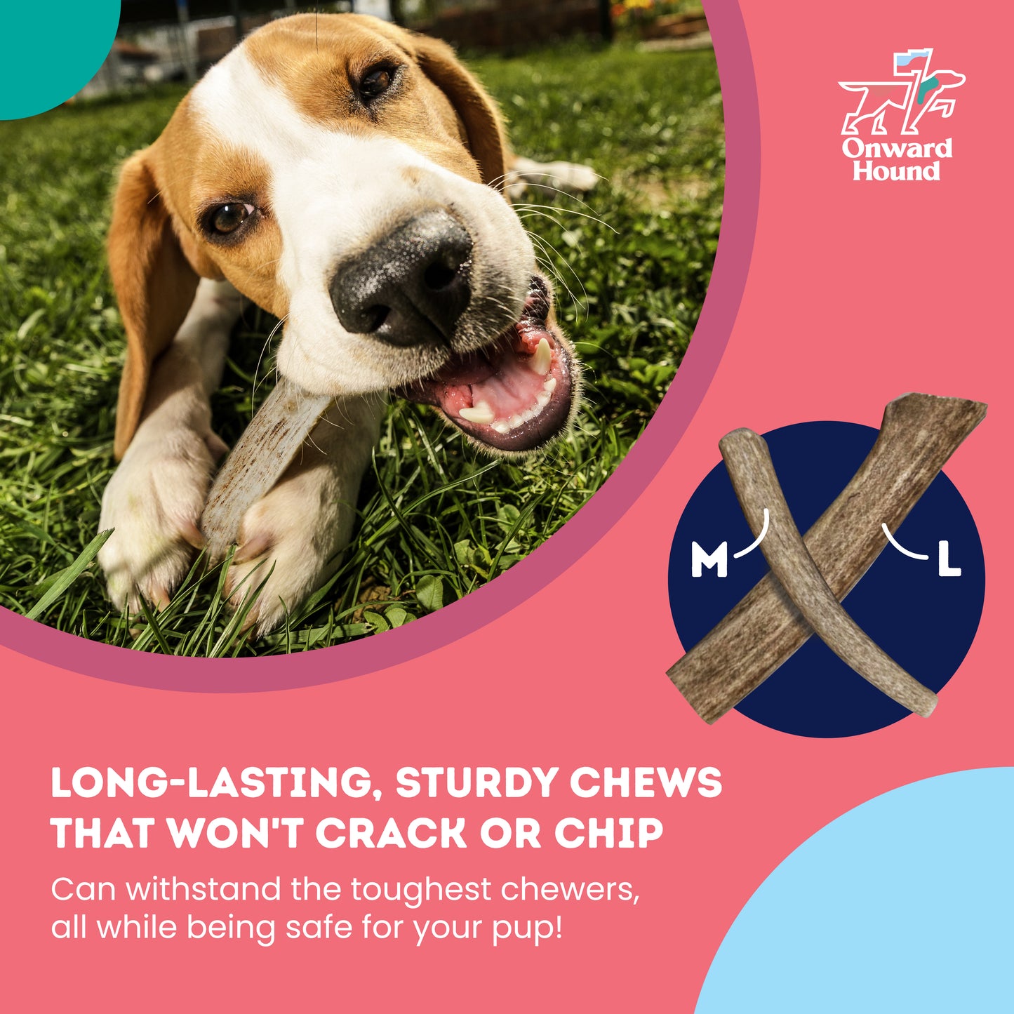 long lasting chews that won't crack, chip or peel