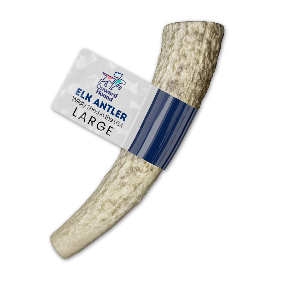 Onward Hound Elk Antler Chews - Hypoallergenic & Natural Dog Chews