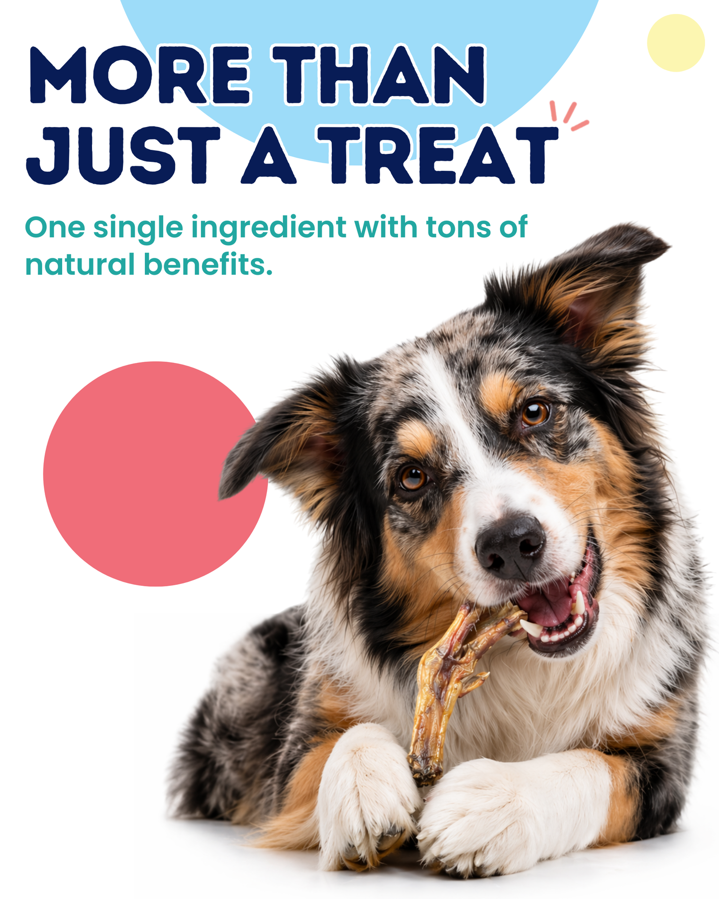 Onward Hound Just Duck Feet – Single Ingredient Natural Dog Chews