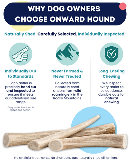 Onward Hound Elk Antler Chews - Hypoallergenic & Natural Dog Chews