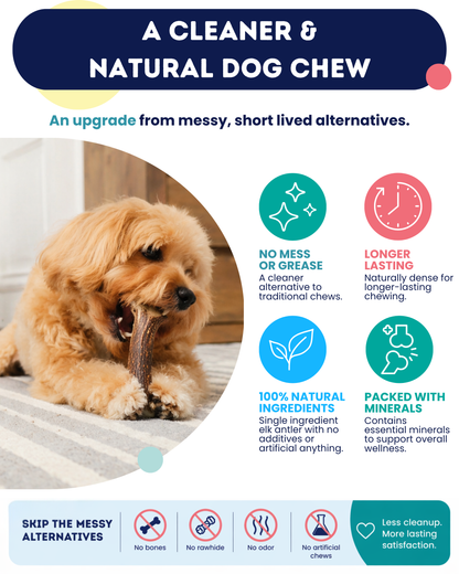 Onward Hound Elk Antler Chews - Hypoallergenic & Natural Dog Chews