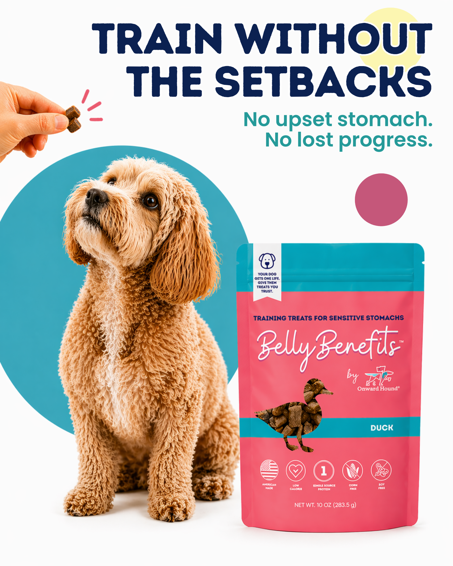 (Duck) Belly Benefits - Soft & Low Calorie Training Treats for Sensitive Stomachs