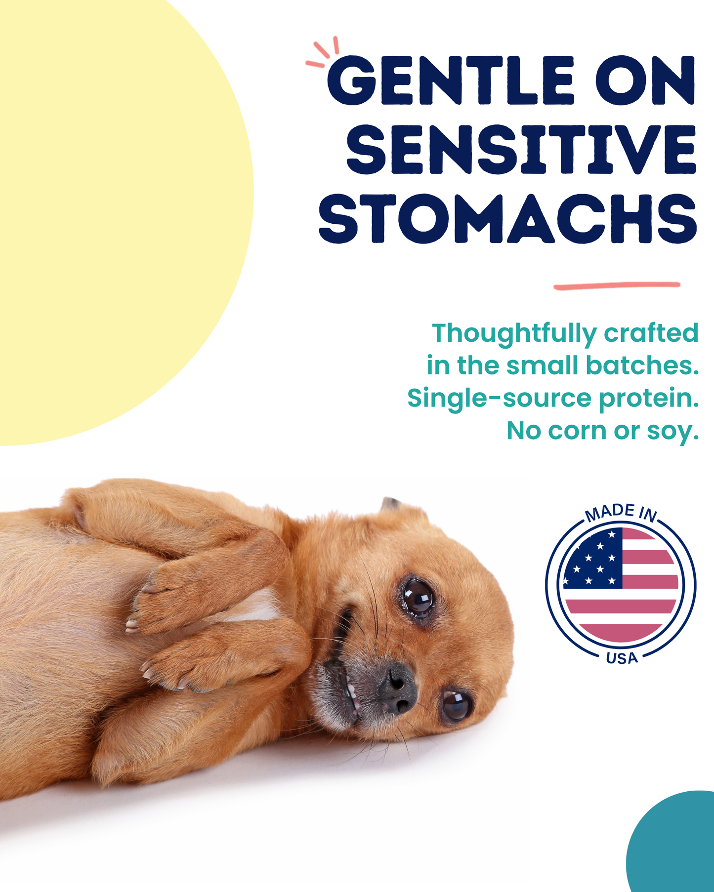 (Duck) Belly Benefits - Soft & Low Calorie Training Treats for Sensitive Stomachs