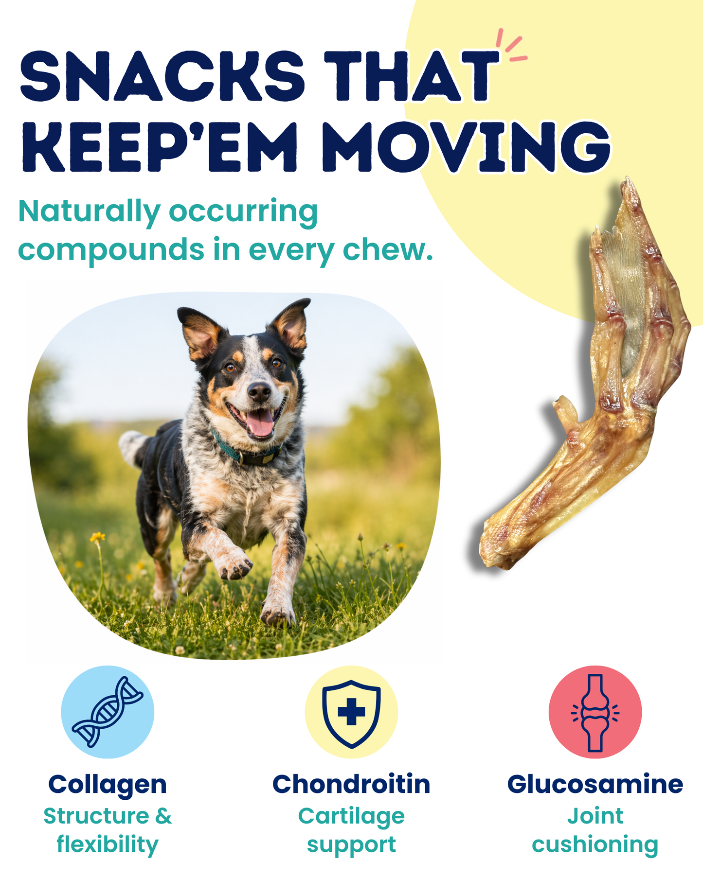 Onward Hound Just Duck Feet – Single Ingredient Natural Dog Chews