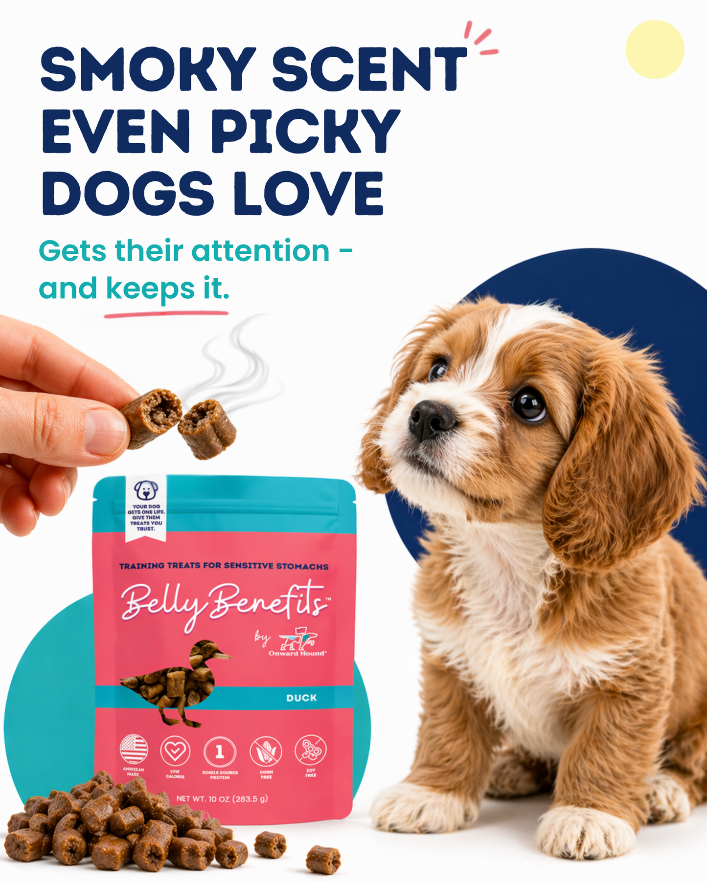 (Duck) Belly Benefits - Soft & Low Calorie Training Treats for Sensitive Stomachs