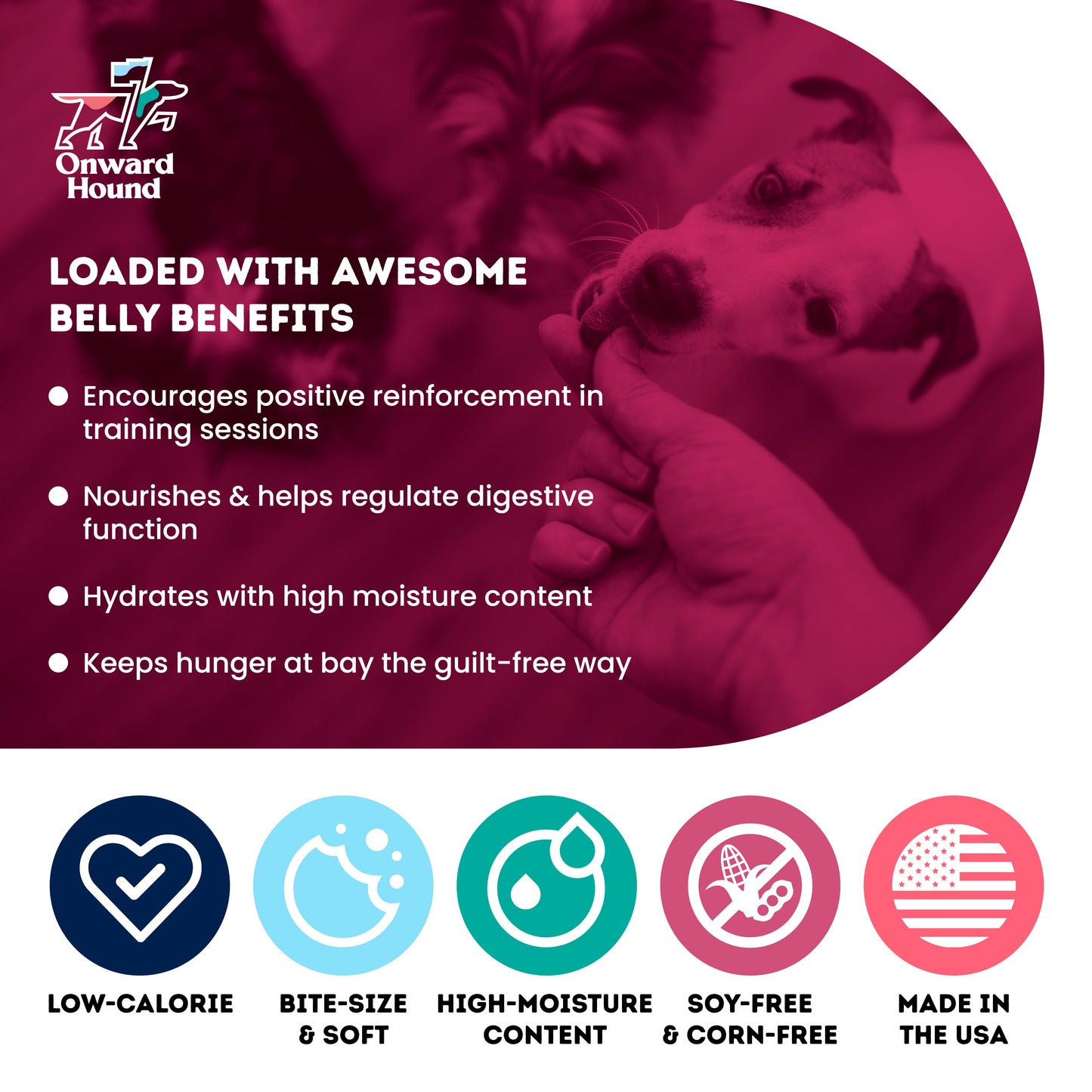 Try Them All: Onward Hound Belly Benefits (4oz)