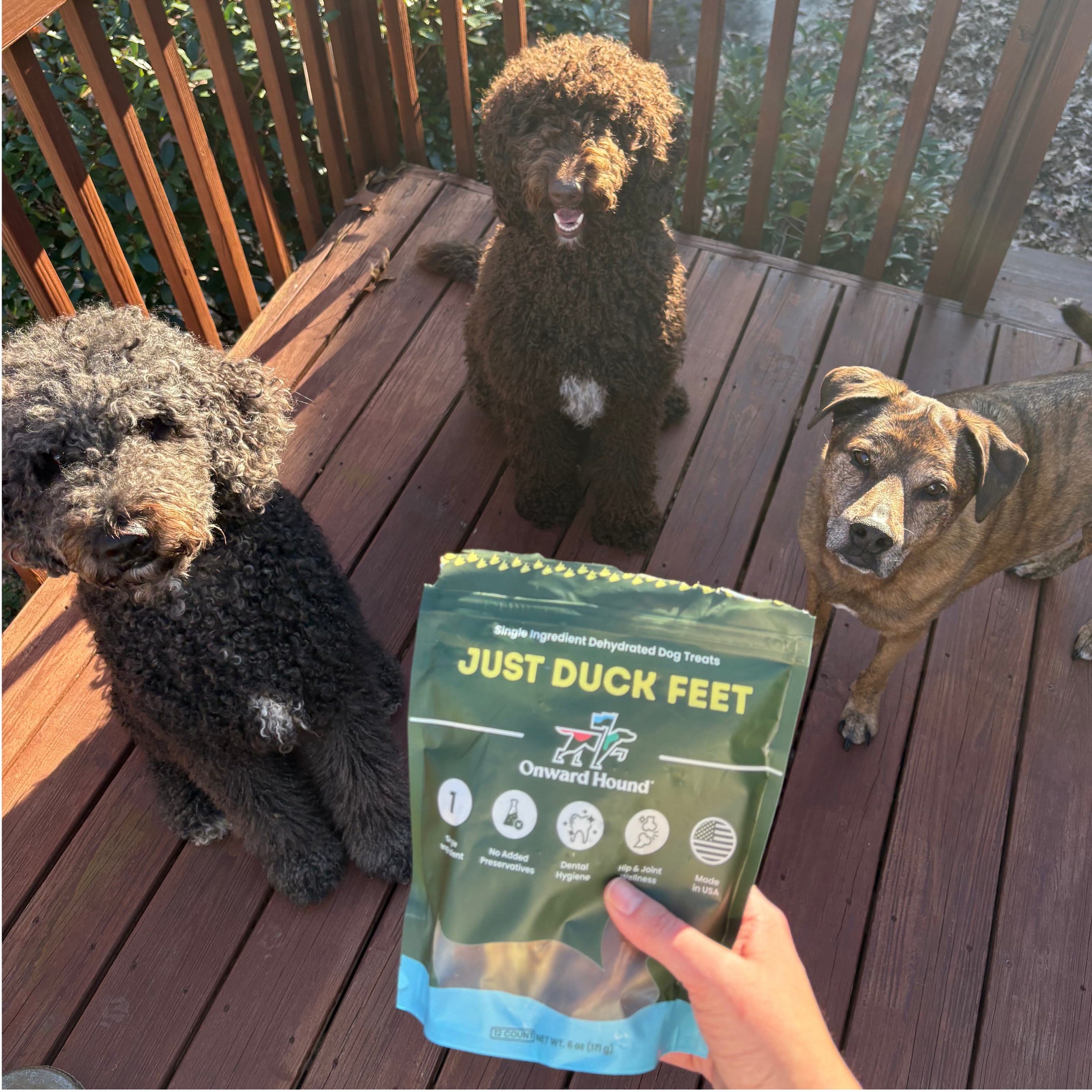 Three dogs on a wooden deck with a package of Just Duck Feet treats held by a person.