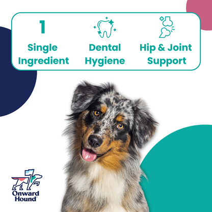 Onward Hound Just Duck Feet – Single Ingredient Natural Dog Chews