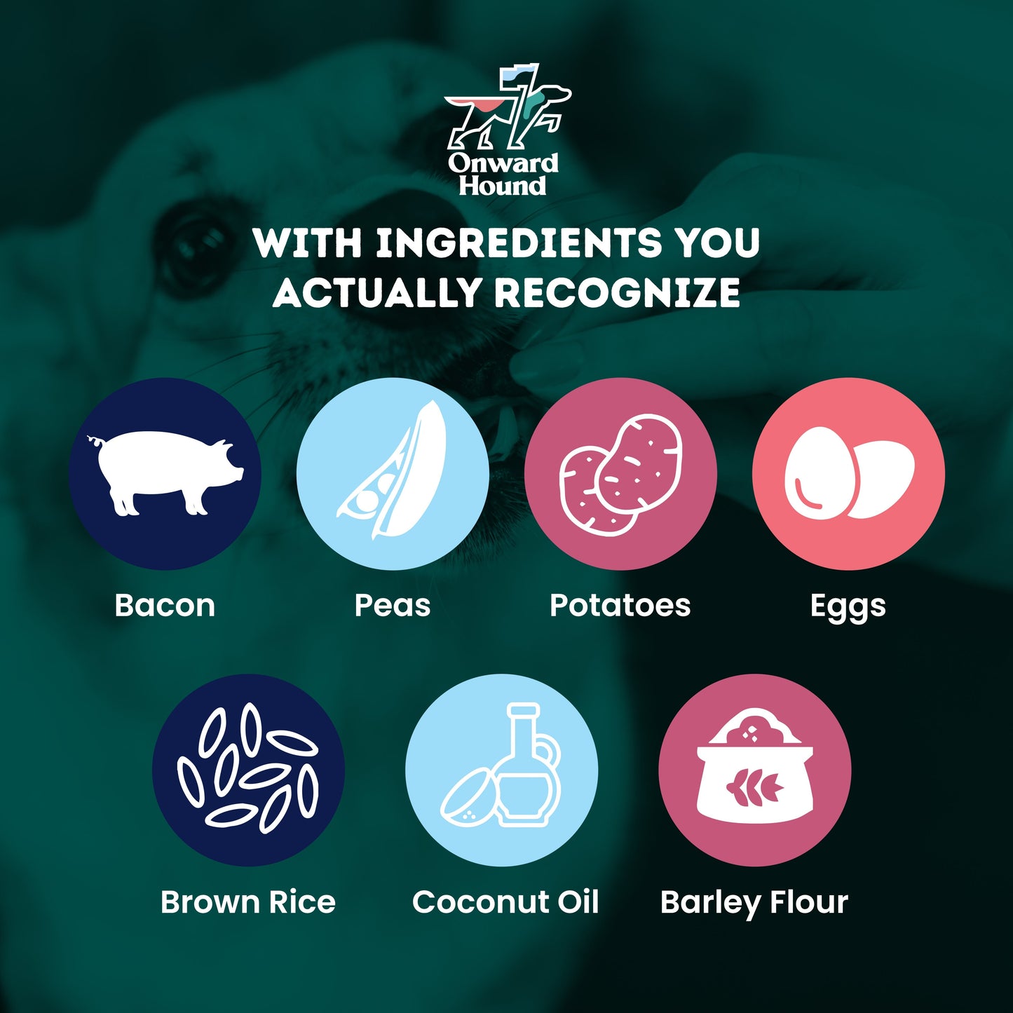 Ingredients you actually recognize