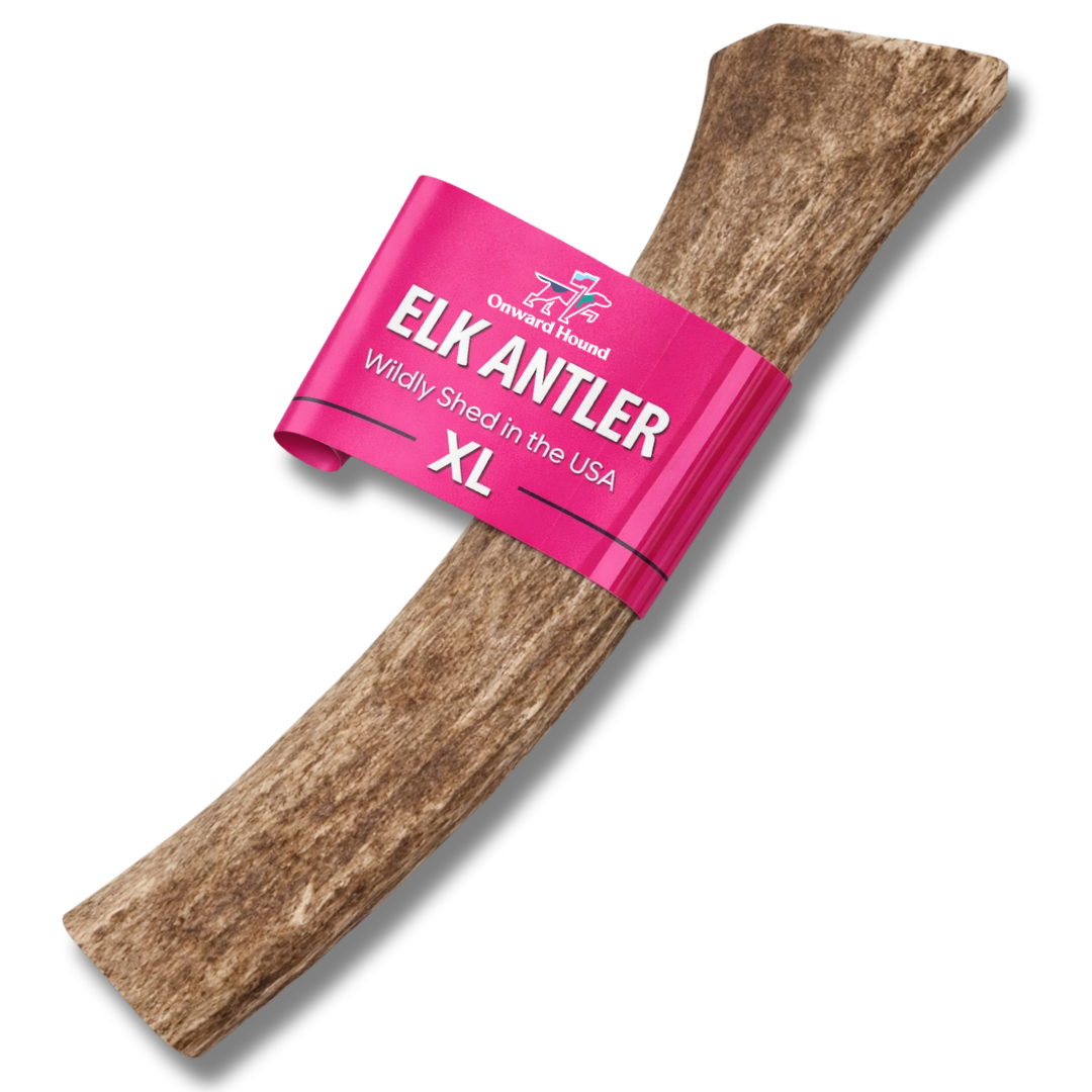 Onward Hound Elk Antler Chews - Hypoallergenic & Natural Dog Chews