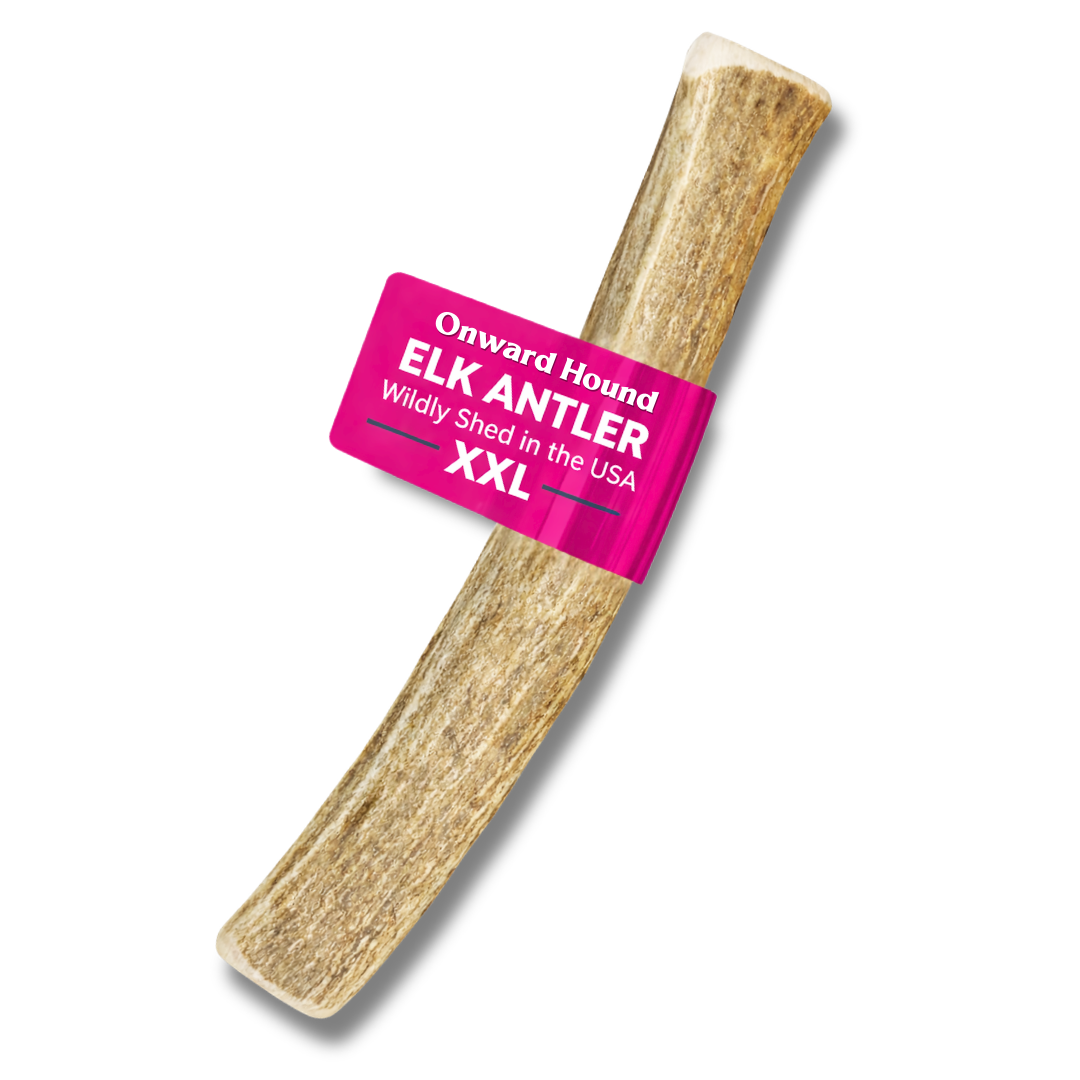 Onward Hound Elk Antler Chews - Hypoallergenic & Natural Dog Chews