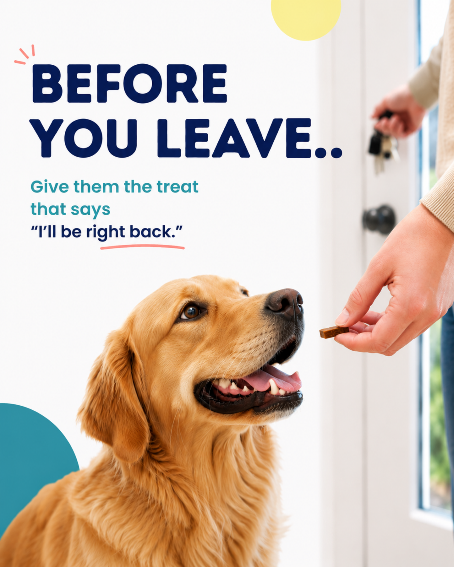 brb biscuits - soft dog treats