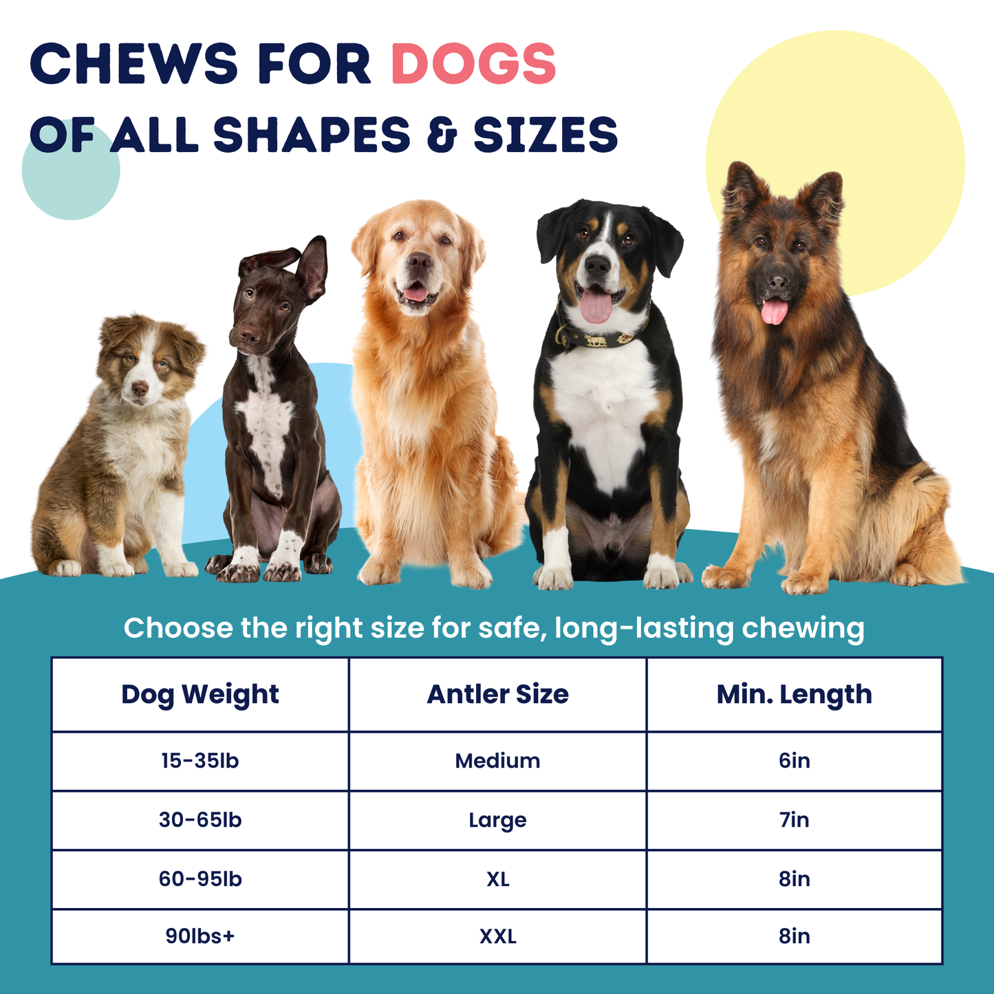 Onward Hound Elk Antler Chews - Hypoallergenic & Natural Dog Chews