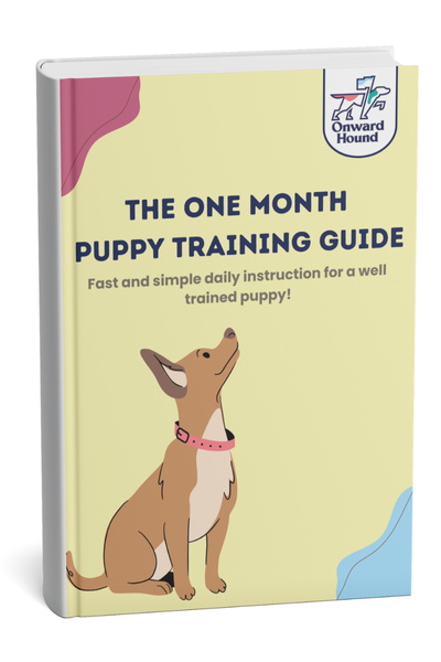 Training Book Samoyed Obedience Training Samoyed Dog EBook By