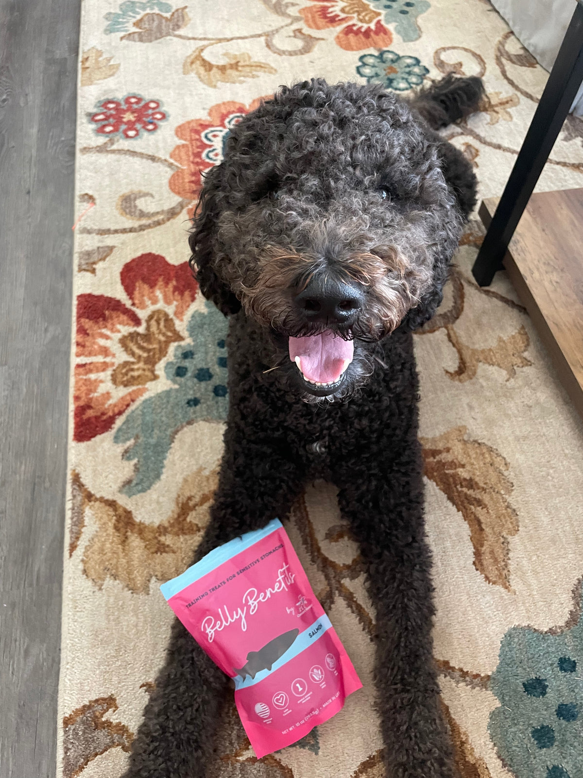 Onward Hound | Sensible Treats for Dogs with Sensitive Stomachs