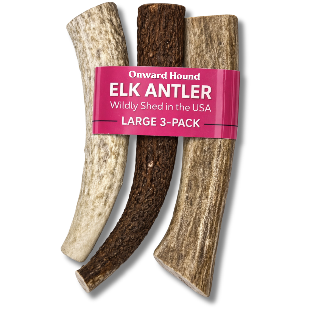 Onward Hound Elk Antler Chews - Hypoallergenic & Natural Dog Chews