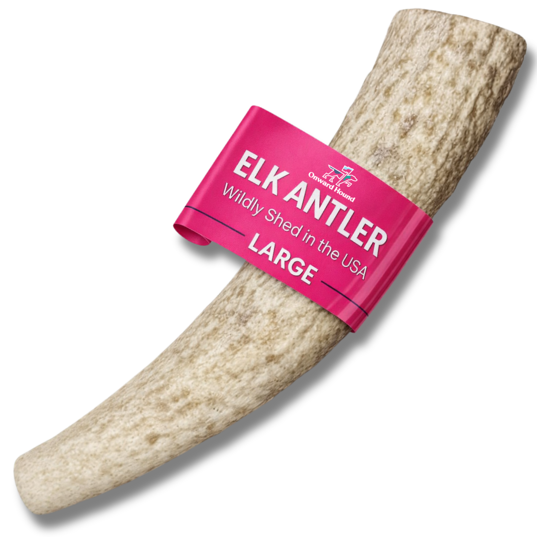 Onward Hound Elk Antler Chews - Hypoallergenic & Natural Dog Chews