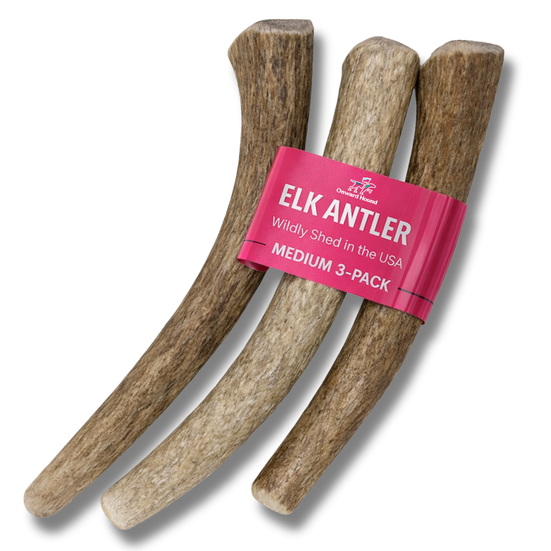 Onward Hound Elk Antler Chews - Hypoallergenic & Natural Dog Chews