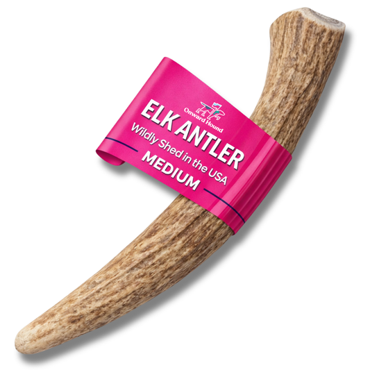 Onward Hound Elk Antler Chews - Hypoallergenic & Natural Dog Chews