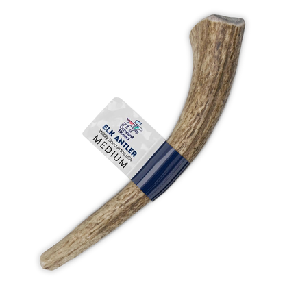 Onward Hound Elk Antler Chew (Medium)