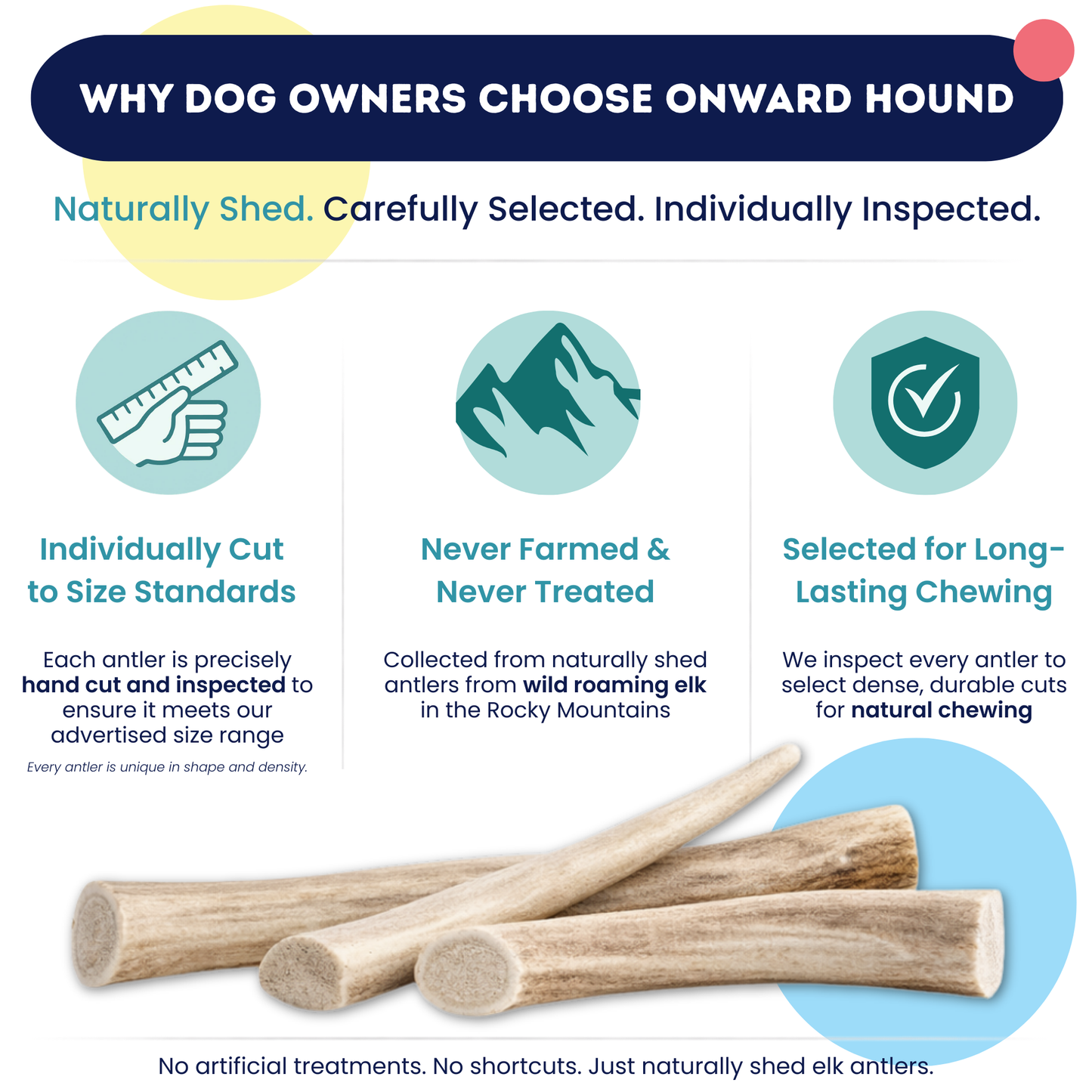 Onward Hound Elk Antler Chews - Hypoallergenic & Natural Dog Chews